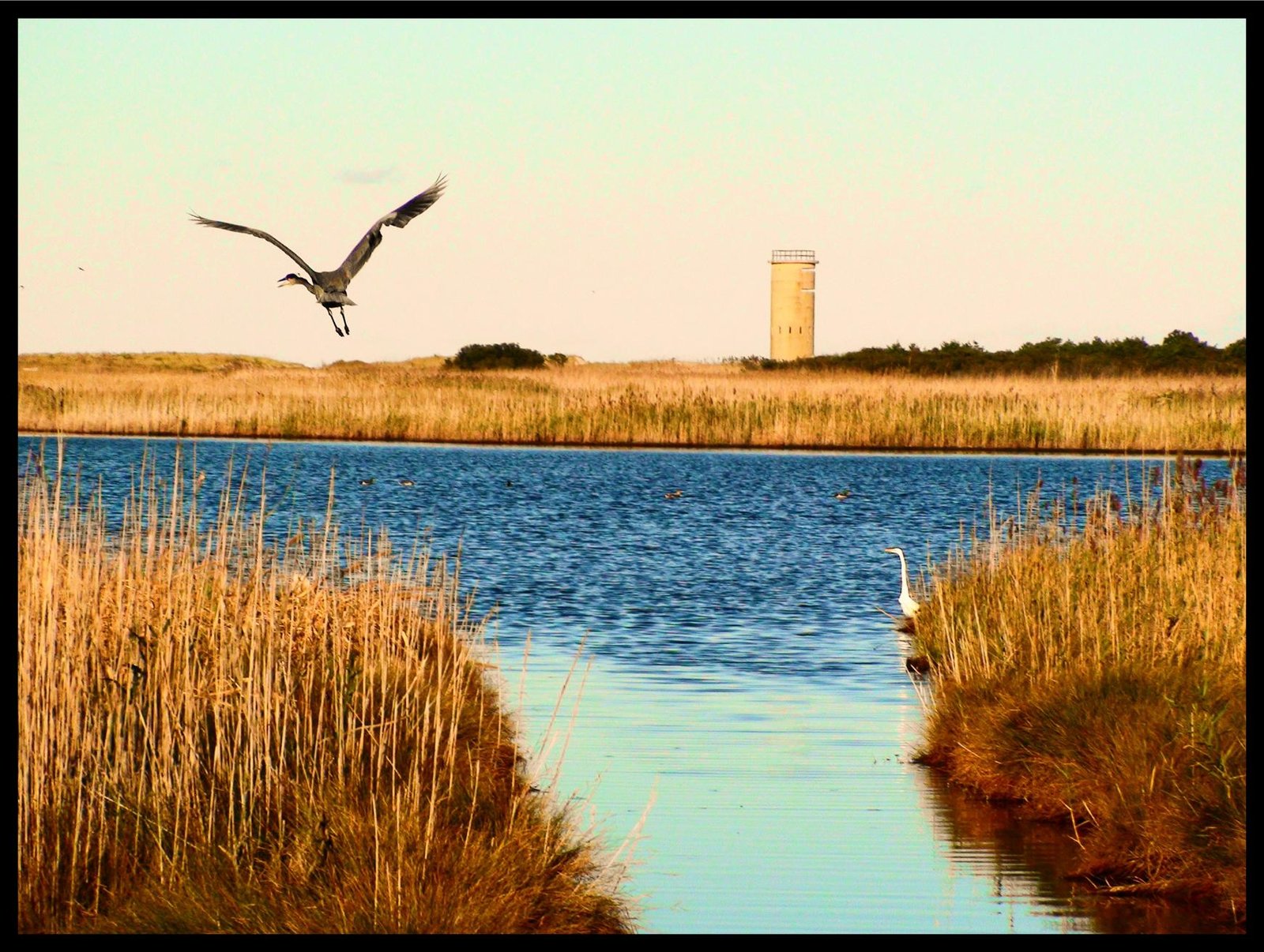 Why We Live Here . . . WWII Observation Towers