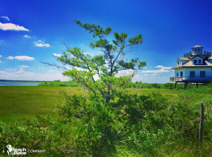 WWLH - Broadkill Beach Pic